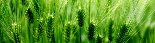 @共产党员,这里有一份试卷请您查收! 第2张