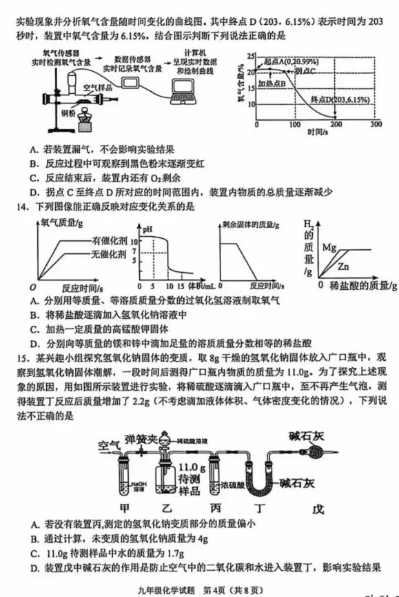 2026年中考模拟考试化学试题6 第4张