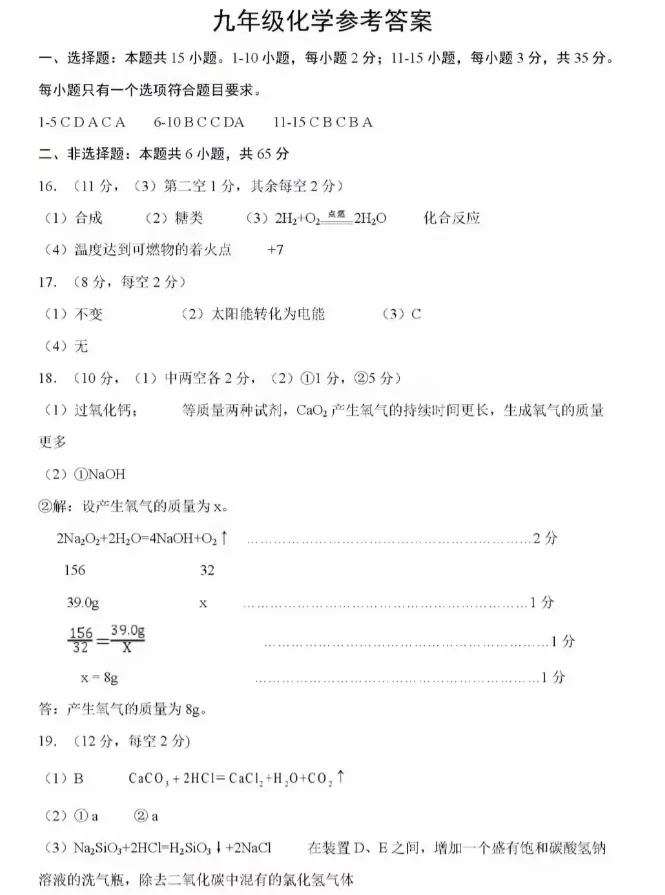 2026年中考模拟考试化学试题6 第9张