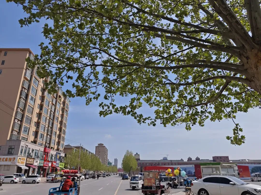 英语六级写作真题怎么润色?衔接词使用技巧 第3张 英语六级写作真题怎么润色?衔接词使用技巧 第3张