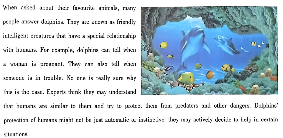 大英赛真题|2025年全国大学生英语竞赛A、B、C、D类初赛真题及答案解析(高清无水印PDF) 第26张