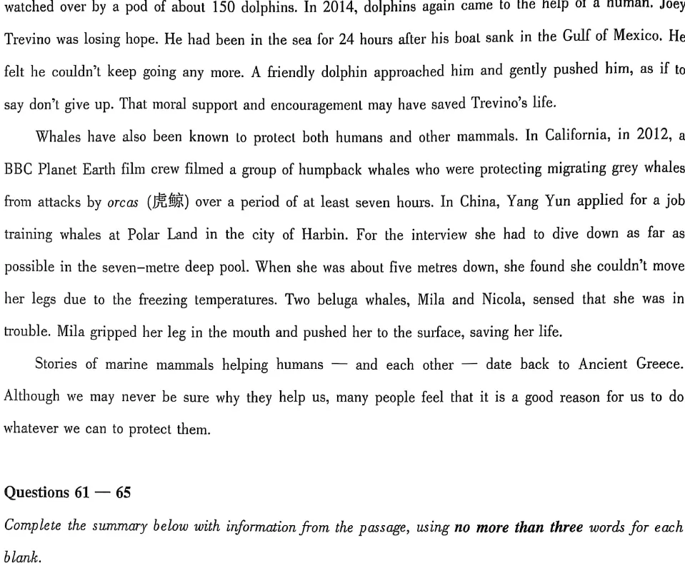 大英赛真题|2025年全国大学生英语竞赛A、B、C、D类初赛真题及答案解析(高清无水印PDF) 第28张