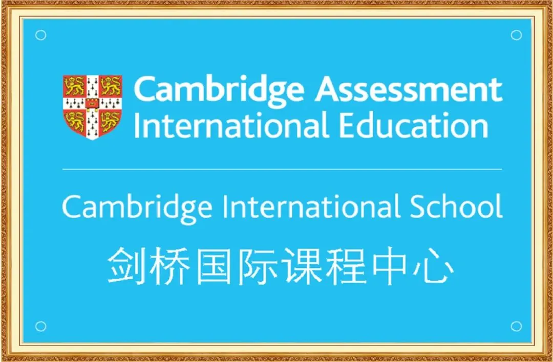 中考必看!零基础可报!衢外小语种特色生2026招考指南来了! 第4张