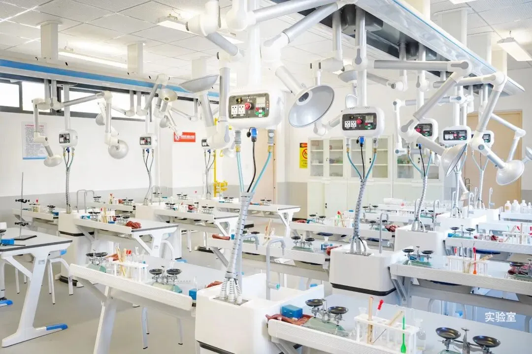 中考必看!零基础可报!衢外小语种特色生2026招考指南来了! 第17张