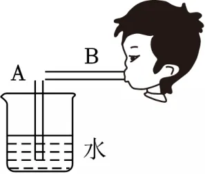 【真题必练】八下物理丨流体压强与流速的关系2025中考原题精选(含逐题详解) 第15张