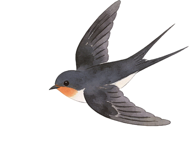 提效试卷讲评·赋能学生成长| 阆中北大博雅骏臣学校中学部试卷评讲公开课顺利开展 第7张