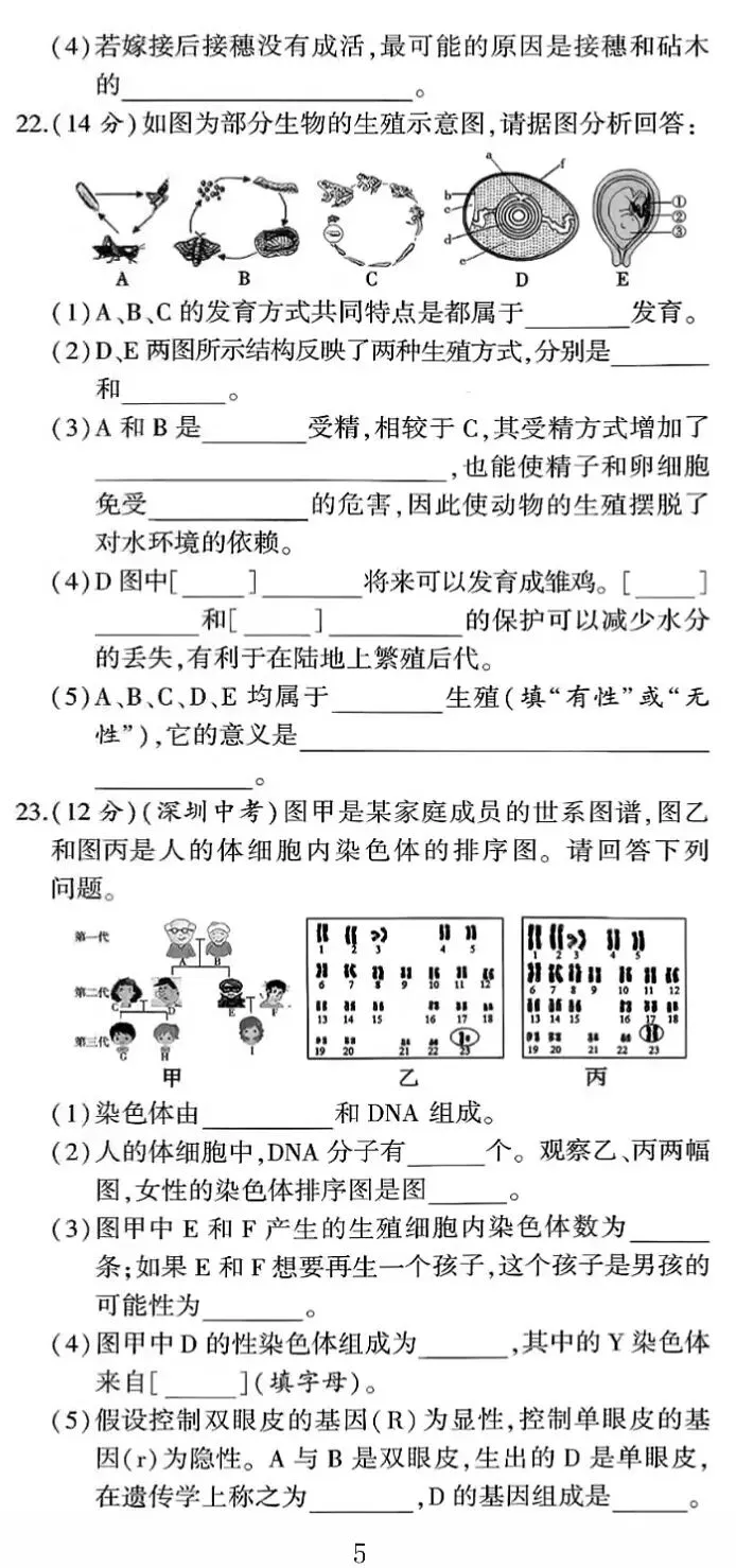 期中试卷:人教版生物八年级下册期中考试试卷 第6张