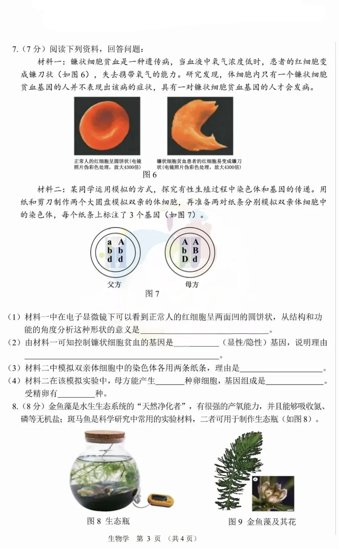 2026年3月鄂尔多斯初中学业水平调研试卷-地生(含答案) 第10张