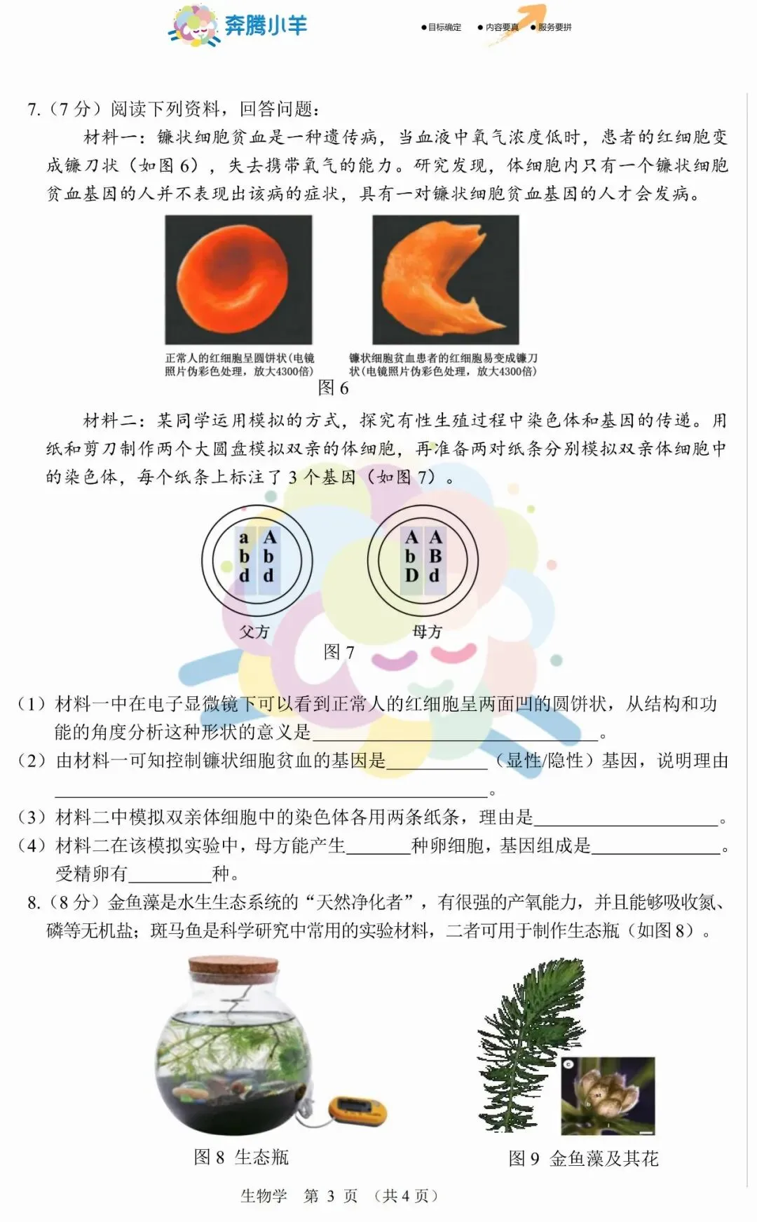 2026年鄂尔多斯初中学业水平调研试卷-地生(含答案) 第10张