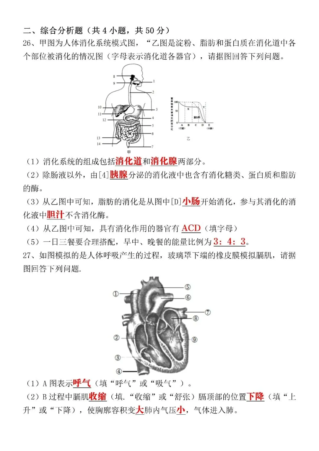 2026(春)七下生物期中考试押题试卷(含答案),电子版可打印给孩子练习! 第7张