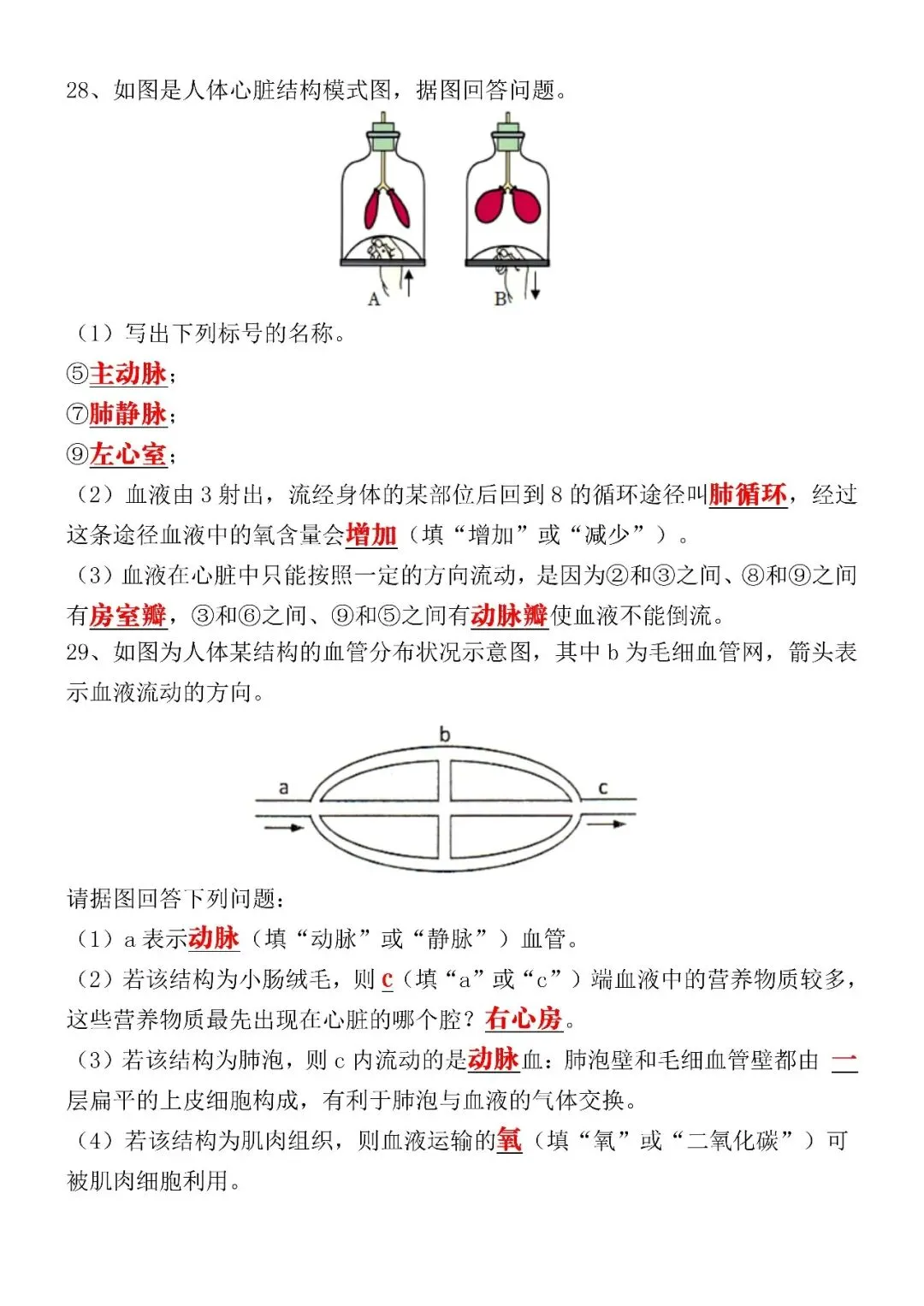 2026(春)七下生物期中考试押题试卷(含答案),电子版可打印给孩子练习! 第8张