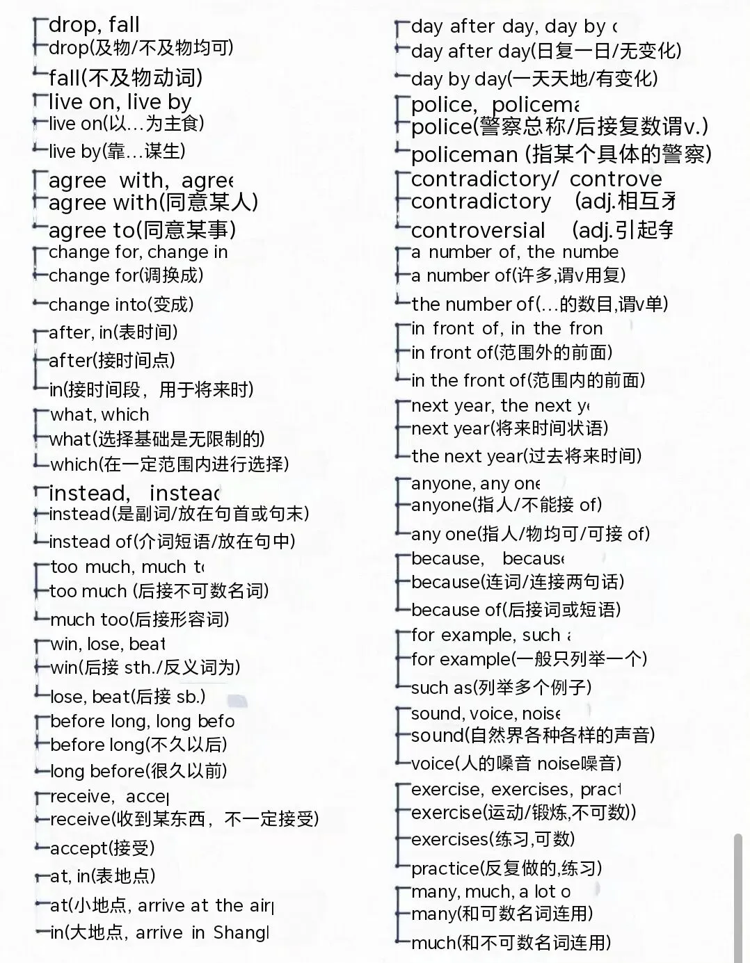 中考易混词辨析大全 第4张