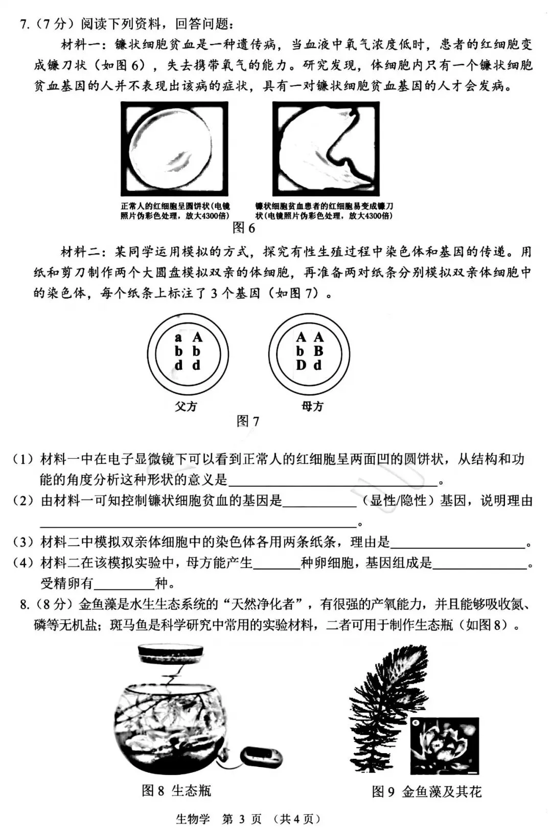 2026年3月鄂尔多斯中考一模试卷和答案:地理生物 第12张