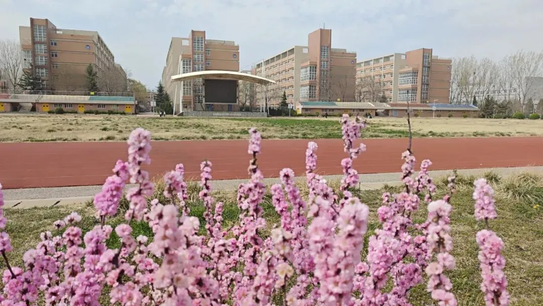 中考失利别慌!这所学校的电商王牌专业,让你弯道超车逆袭本科! 第4张 中考失利别慌!这所学校的电商王牌专业,让你弯道超车逆袭本科! 第4张