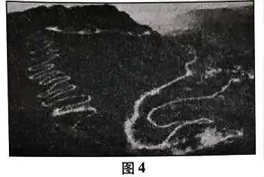 2025年成人高考高起本《历史地理》真题及答案解析 第5张 2025年成人高考高起本《历史地理》真题及答案解析 第5张