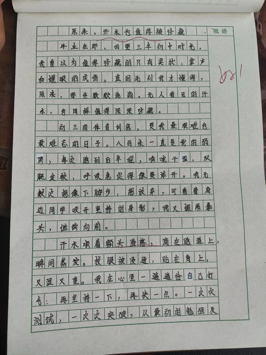 中考作文:珍藏 第1张