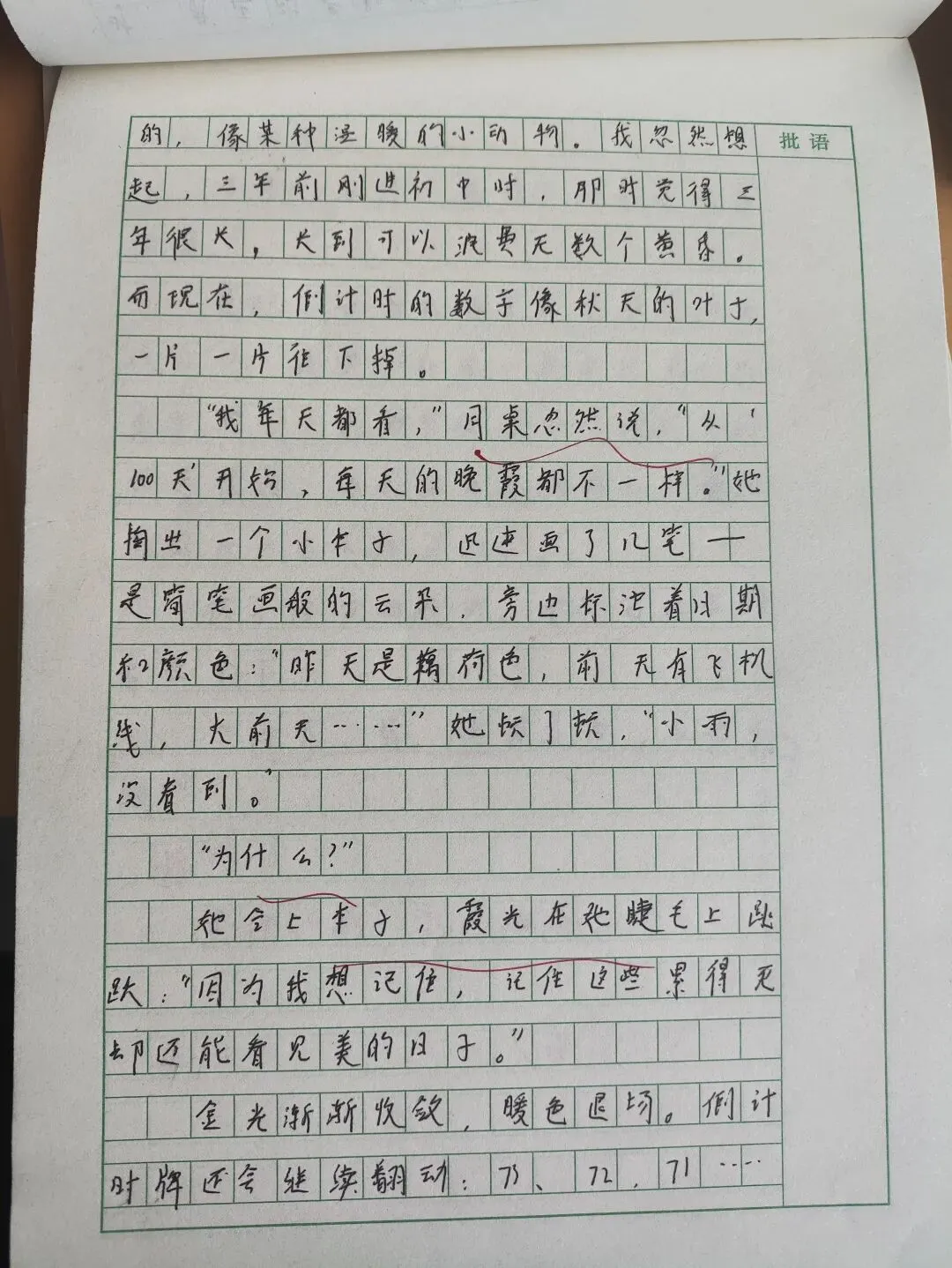 中考作文:珍藏 第6张