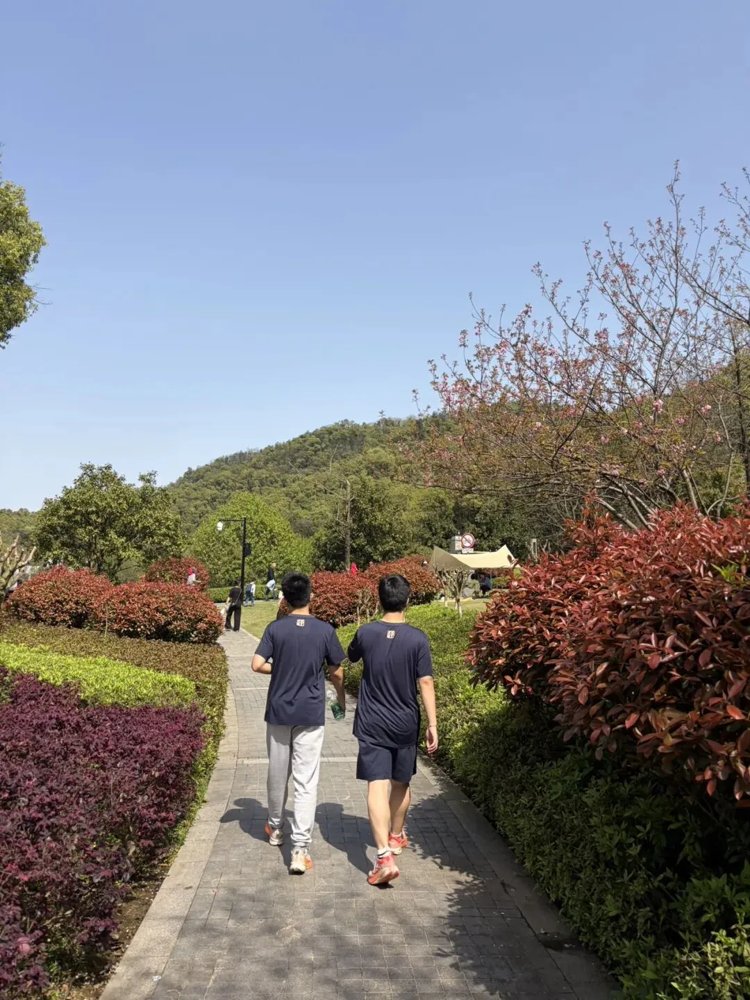 ||中考倒计时72天 清明节后的随笔 第5张