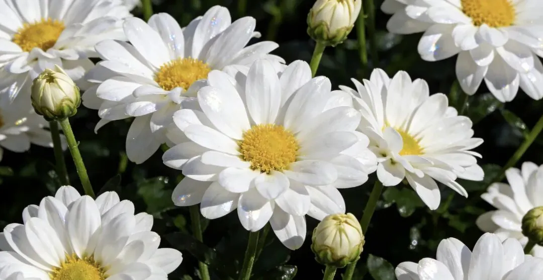 ||中考倒计时72天 清明节后的随笔 第7张