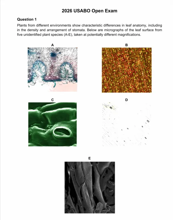 2026年USABO美国生物竞赛真题+解析,电子版领取~ 第1张