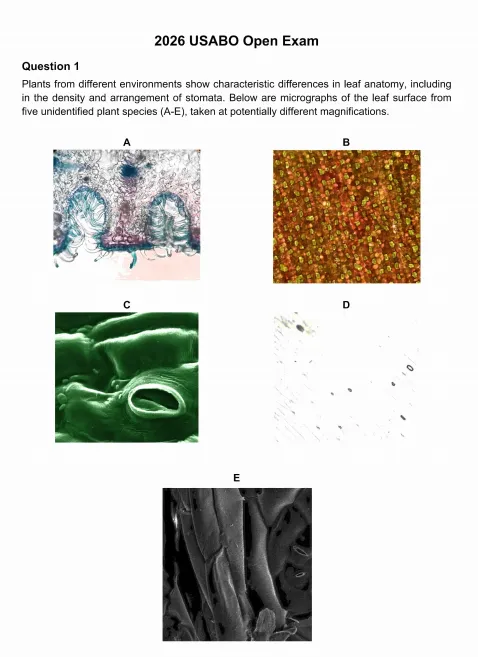 2026年USABO美国生物奥赛真题+答案解析!(附犀牛生物竞赛直通车) 第2张