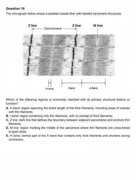 2026年USABO美国生物奥赛真题+答案解析!(附犀牛生物竞赛直通车) 第7张