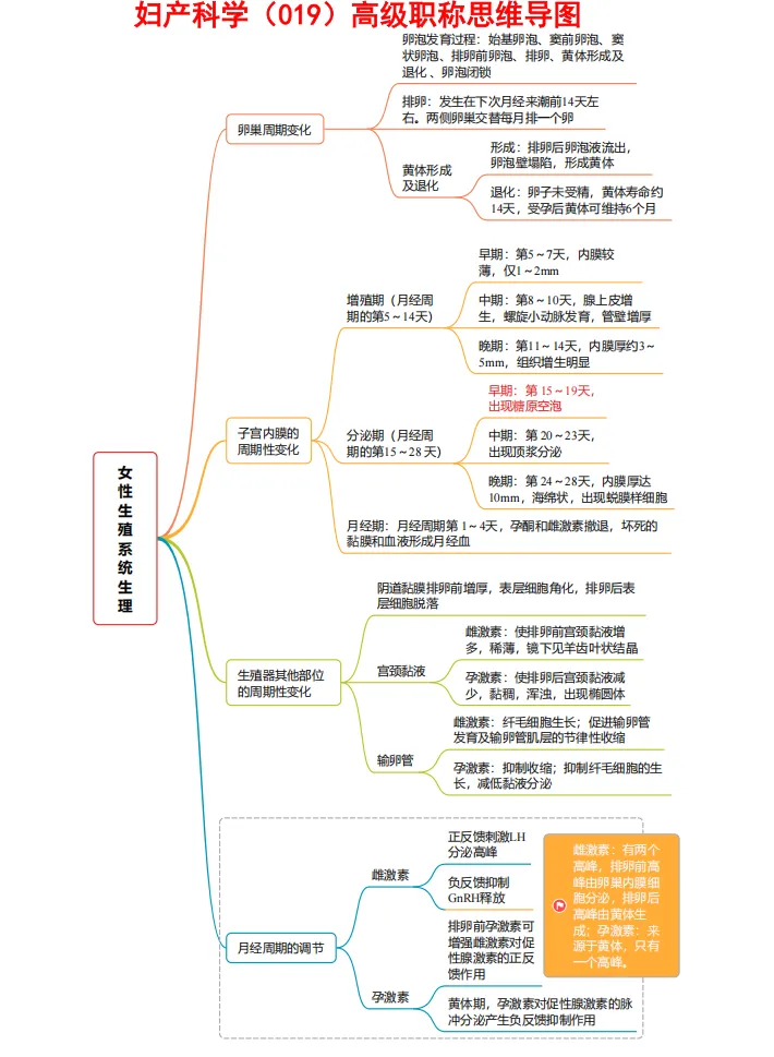 心血管内科高级职称001(正高)历年真题pdf. 第65张