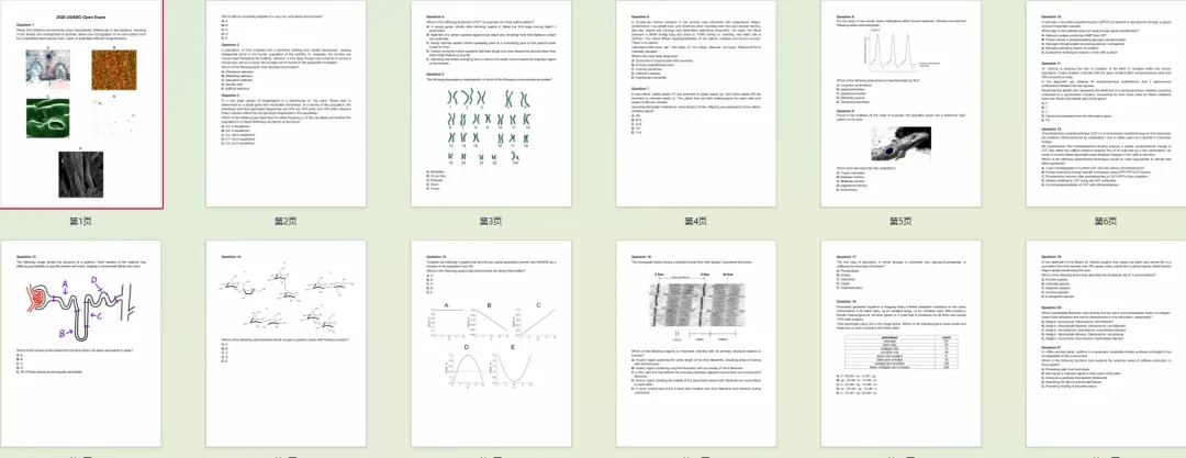 2026年USABO竞赛真题看解析!2026年USABO难度解析 第1张