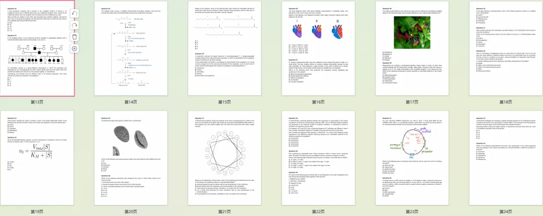 2026年USABO竞赛真题看解析!2026年USABO难度解析 第2张