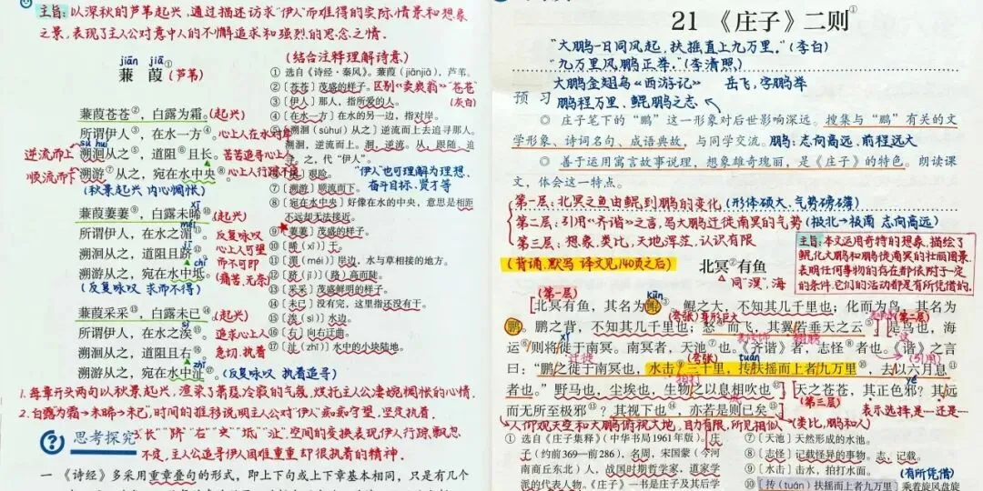 2026中考语文晨读素材149页,含字词、古诗文言、现代文、名著…(高清可打印) 第2张