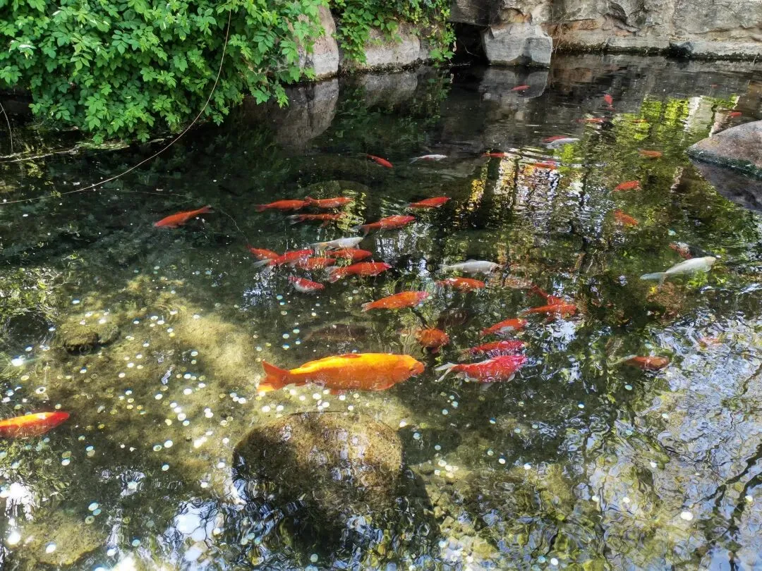 老班主任告诉你,模拟考试你可能想不到的小问题! 第4张