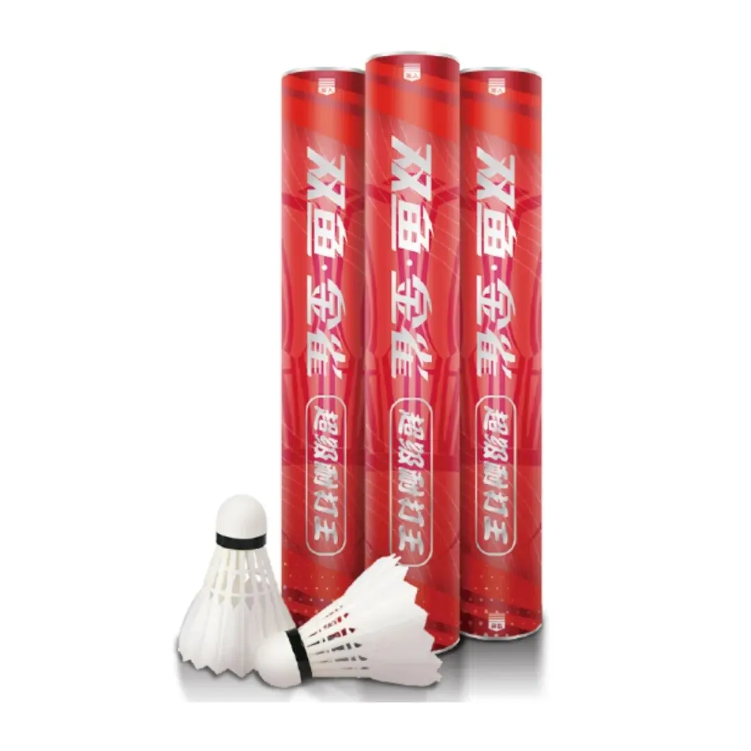 校园中考丨专业护航,逐梦考场——双鱼体育全程助力2026广州体育 第13张 校园中考丨专业护航,逐梦考场——双鱼体育全程助力2026广州体育 第13张