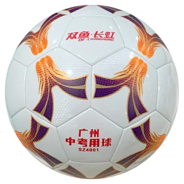 校园中考丨专业护航,逐梦考场——双鱼体育全程助力2026广州体育 第15张 校园中考丨专业护航,逐梦考场——双鱼体育全程助力2026广州体育 第15张