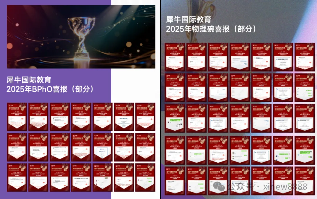 2026年物理碗真题答案解析出炉!看看今年的物理碗竞赛有哪些新变化! 第28张