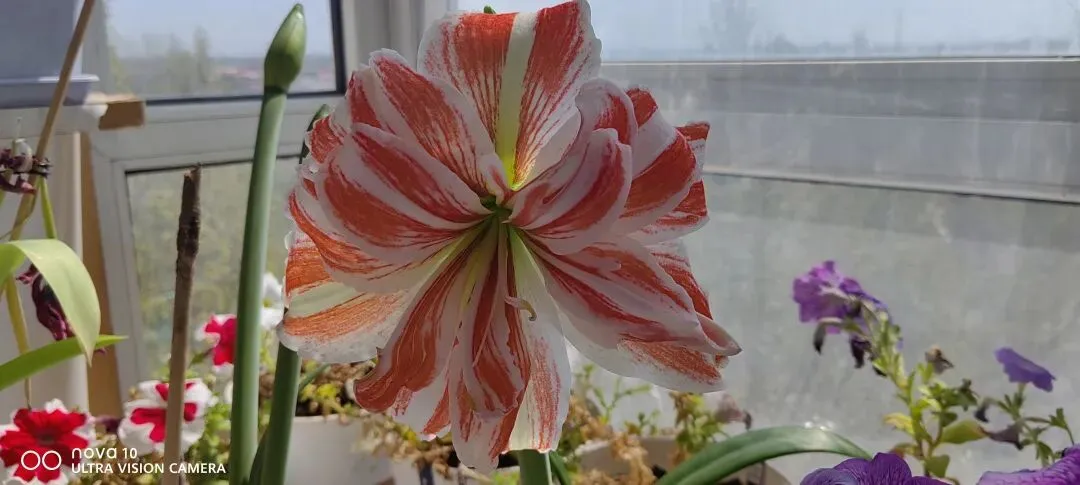 月考试卷作文题分析 第2张