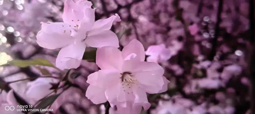 月考试卷作文题分析 第3张