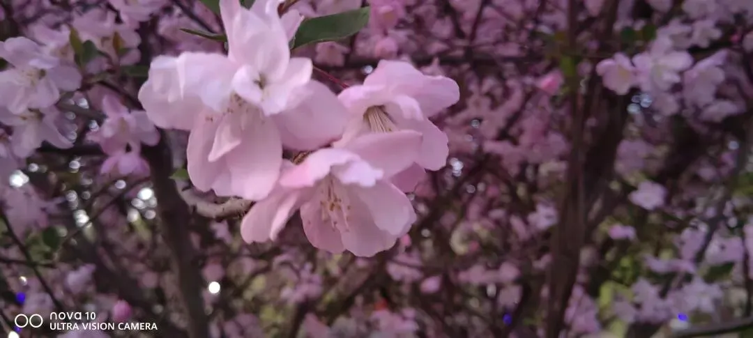 月考试卷作文题分析 第4张