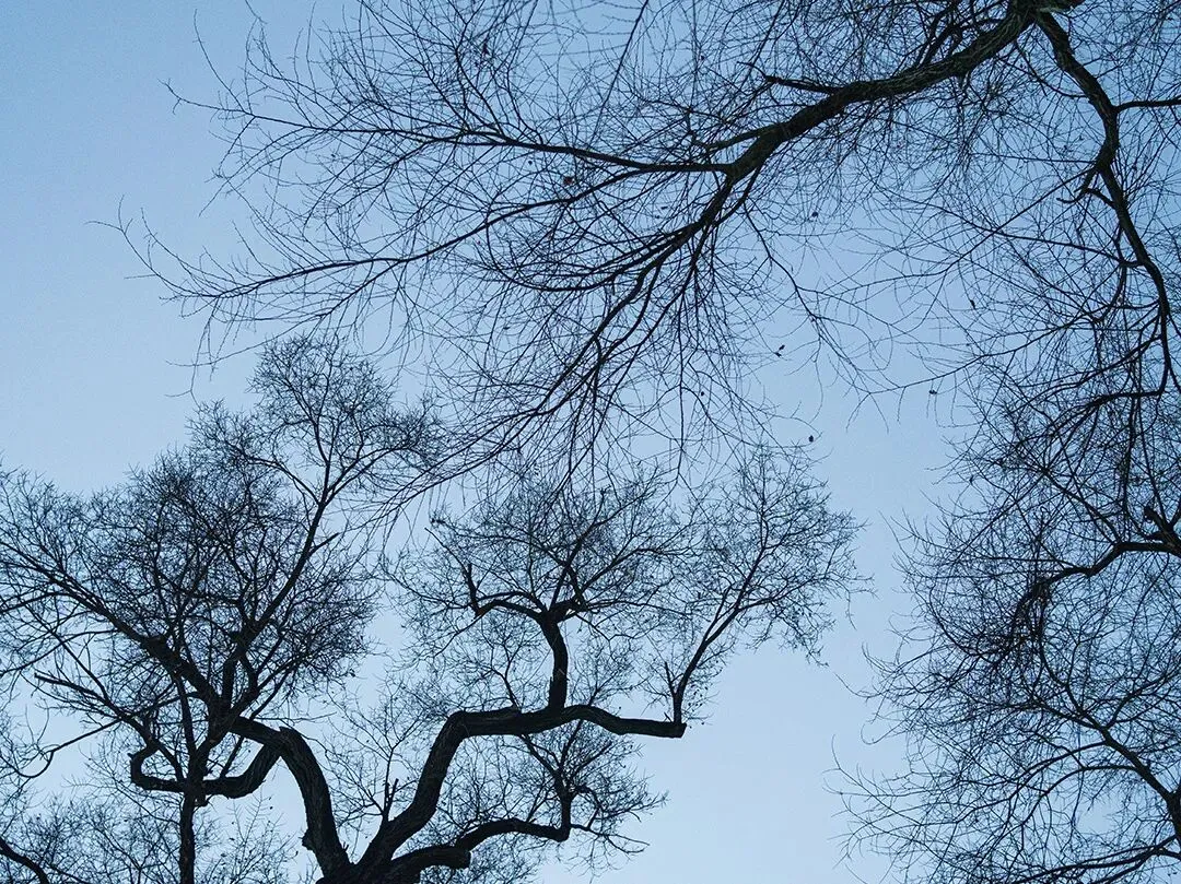 云南师范大学真题解析|网络與情的周期性应对方法(2026) 第3张