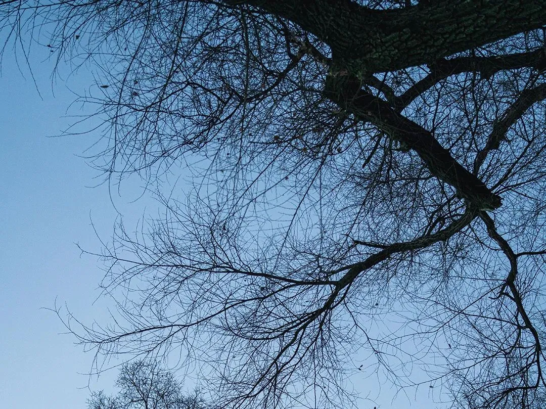 云南师范大学真题解析|网络與情的周期性应对方法(2026) 第4张