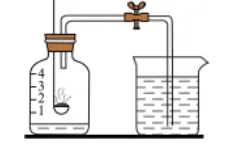 中考化学最爱考的红磷燃烧实验易错点+经典例题!熟记这些,考试稳操胜券! 第3张