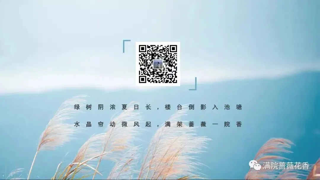 教研活动分享:月考试卷该如何讲评?我尝试这样做……或许你可以参考 第140张