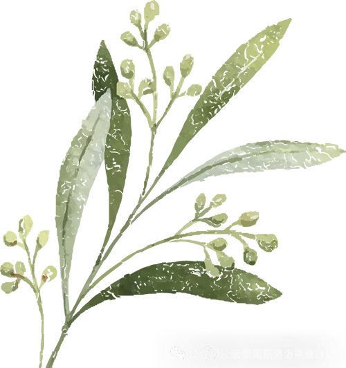 2026福建教师编丨教综及各学科历年真题,考前押题(重复率80%),经验分享,速看!! 第6张