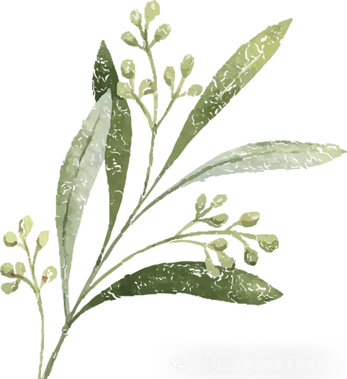 2026福建教师编丨教综及各学科历年真题,考前押题(重复率80%),经验分享,速看!! 第7张