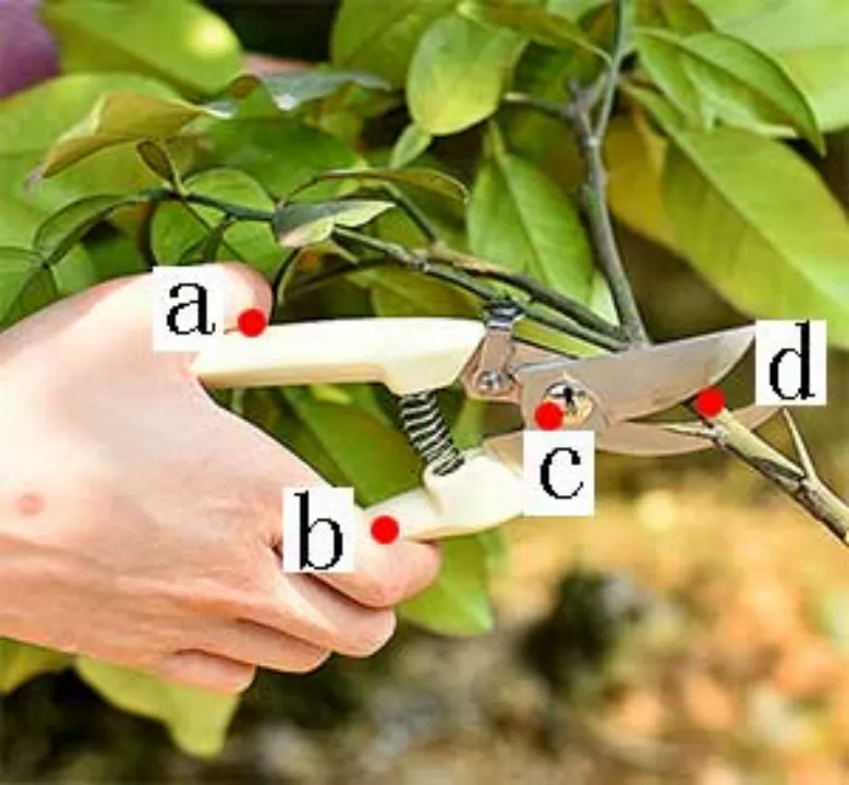 大科学 | 真题模考-全国青少年机器人等级考试(1级)2024年6月【科技特长生|信奥|CIE中国电子学会】 第11张