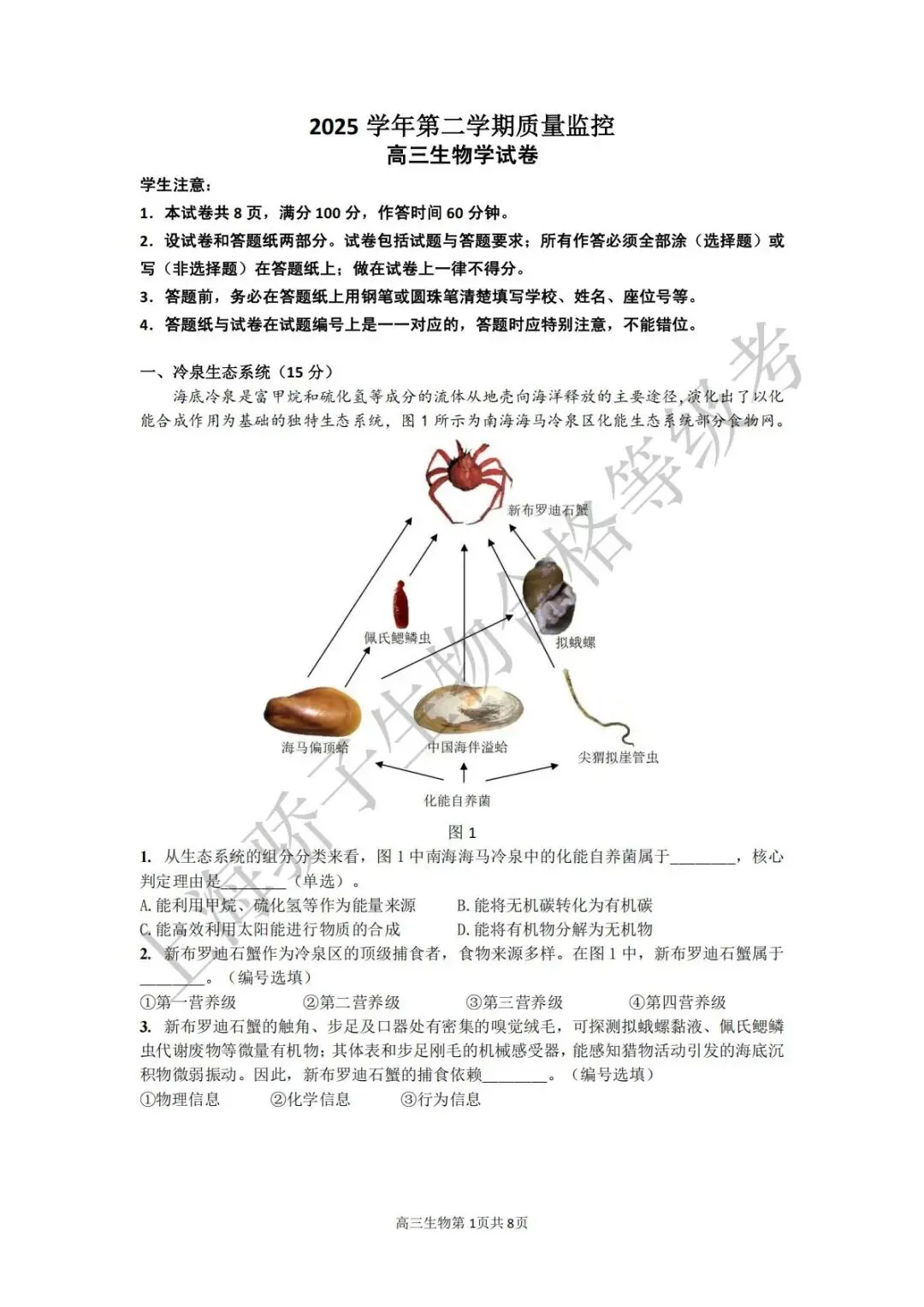 2026.4 金山二模试卷及答案 第1张