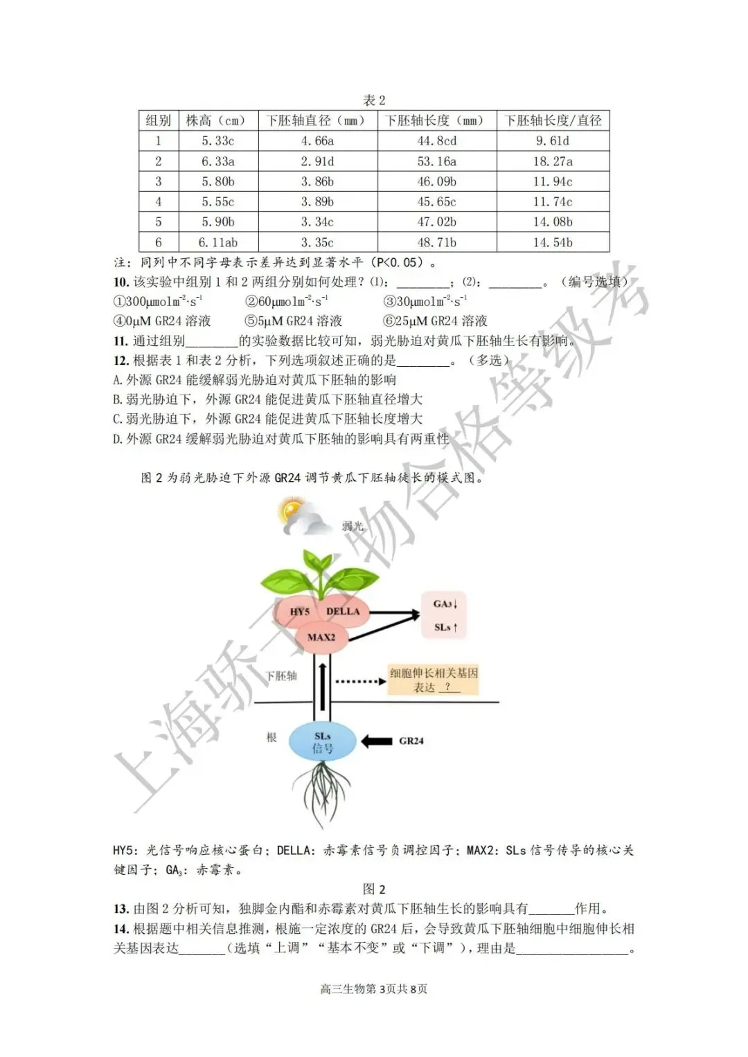 2026.4 金山二模试卷及答案 第3张