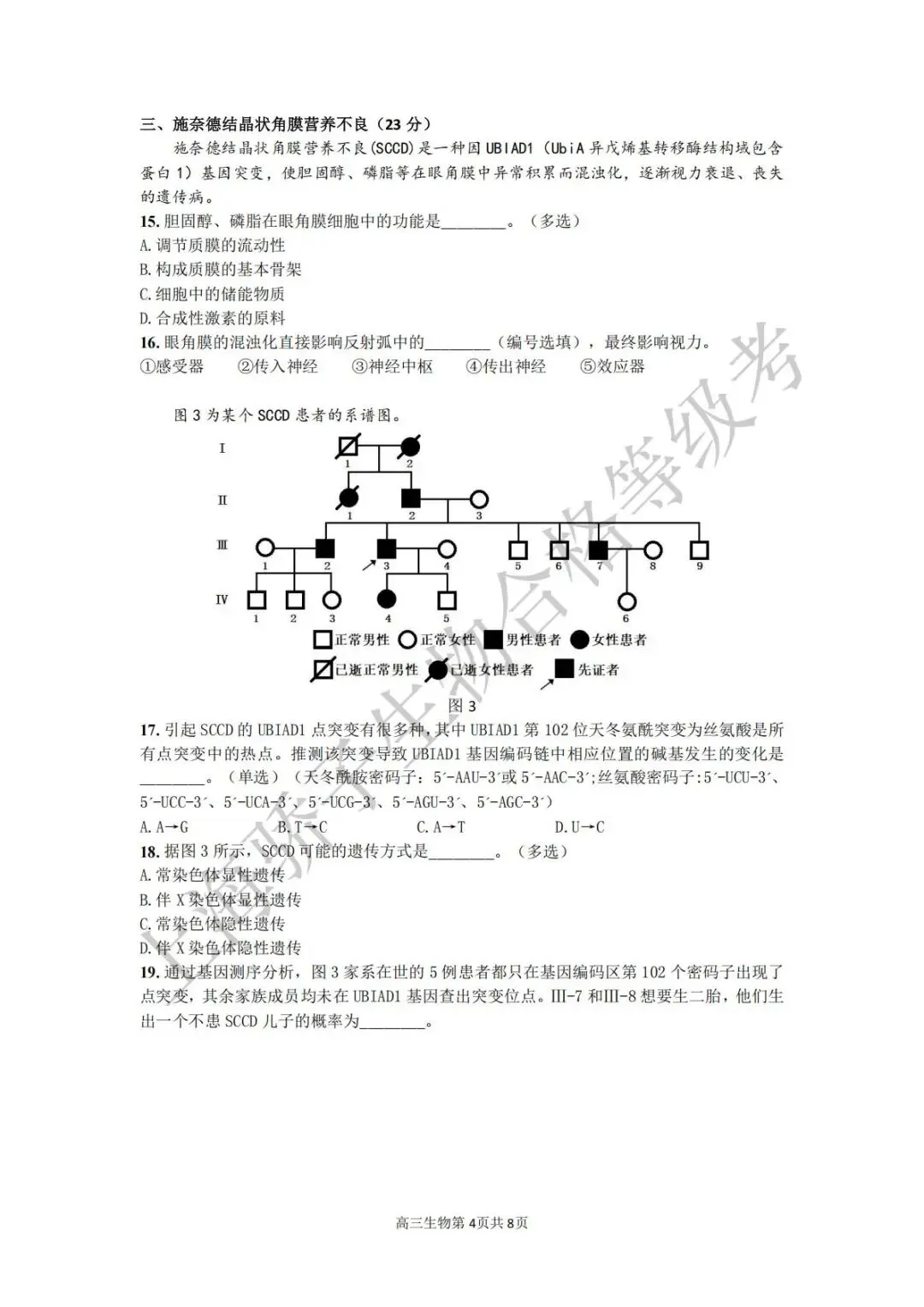 2026.4 金山二模试卷及答案 第4张