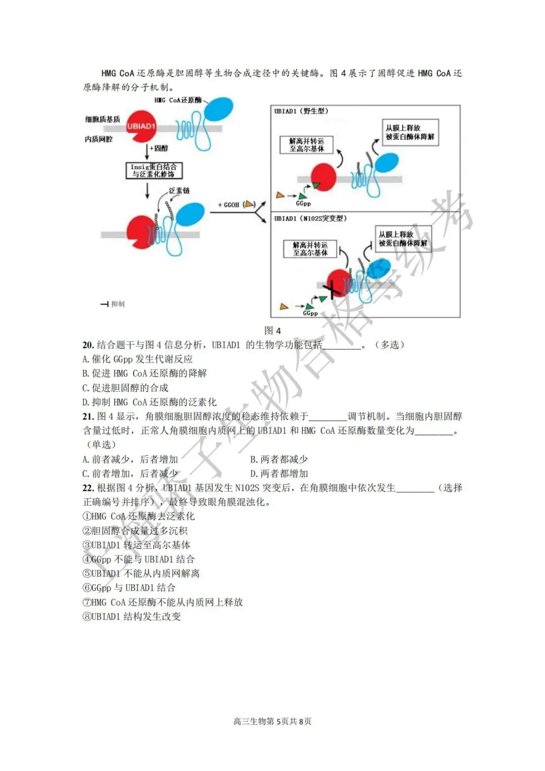 2026.4 金山二模试卷及答案 第5张