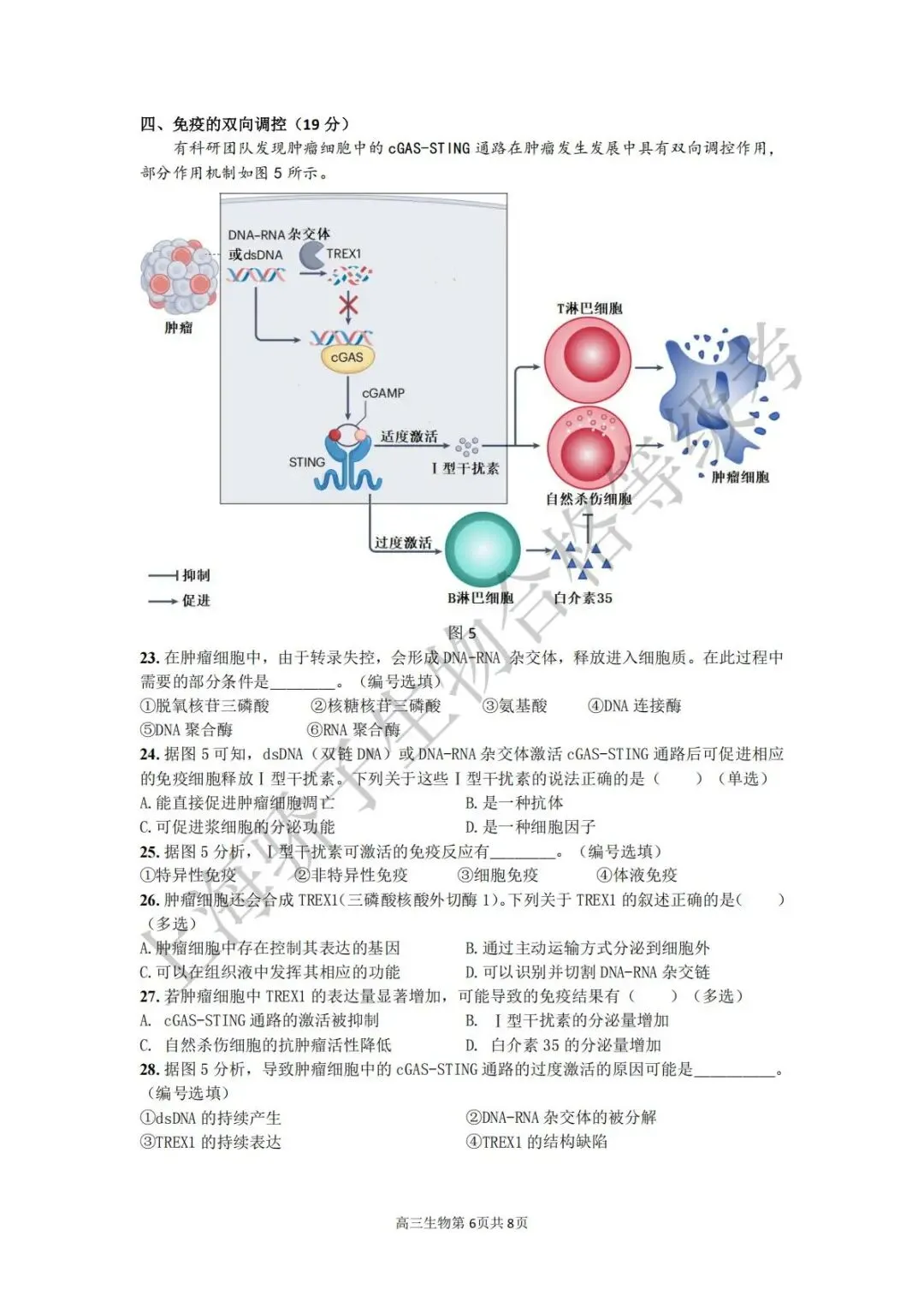 2026.4 金山二模试卷及答案 第6张