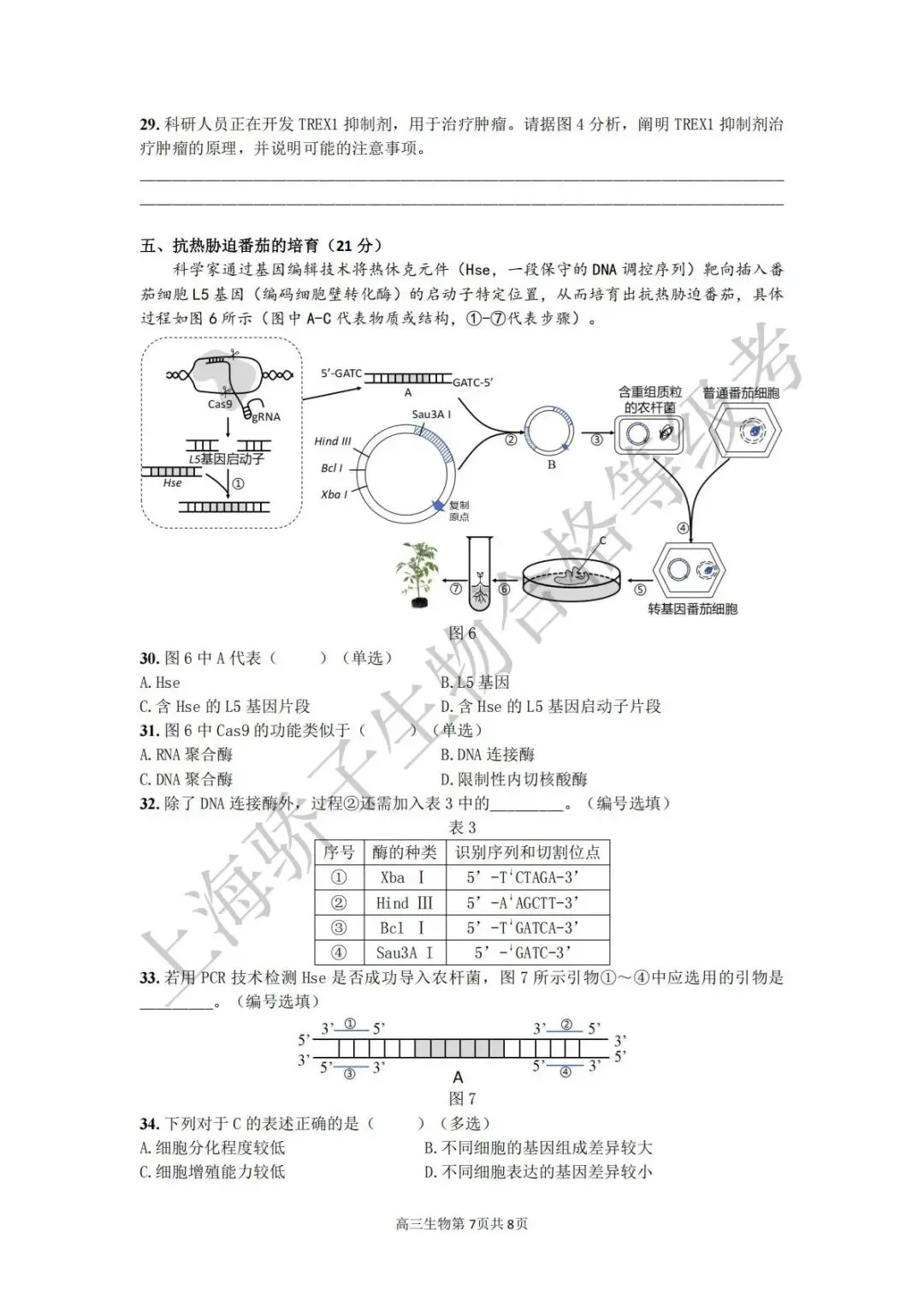 2026.4 金山二模试卷及答案 第7张